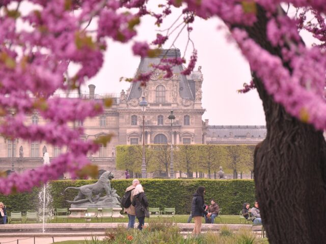 Spring in Paris – Why You Should Visit the City of Light in Spring