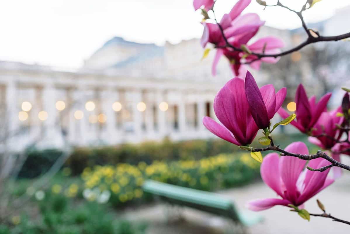 spring in paris