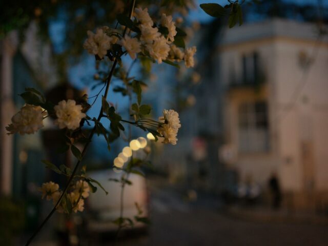 Spring Traditions and Easter Events in Paris – What to Expect in the City of Light