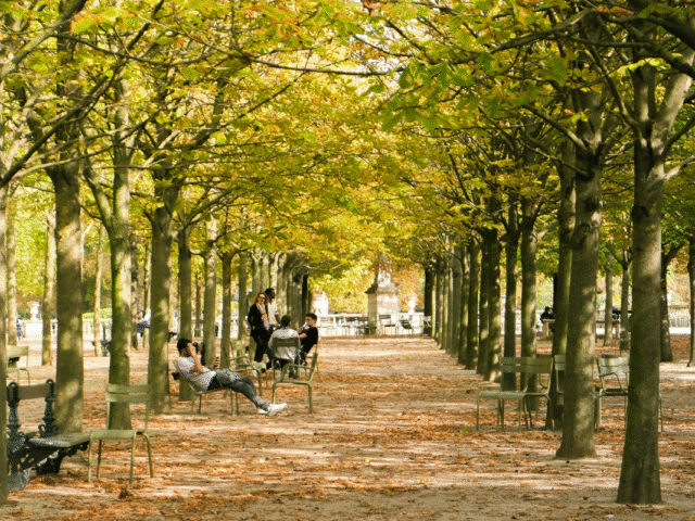 Paris in Autumn: Why Fall is the Best Time to Visit the City of Light