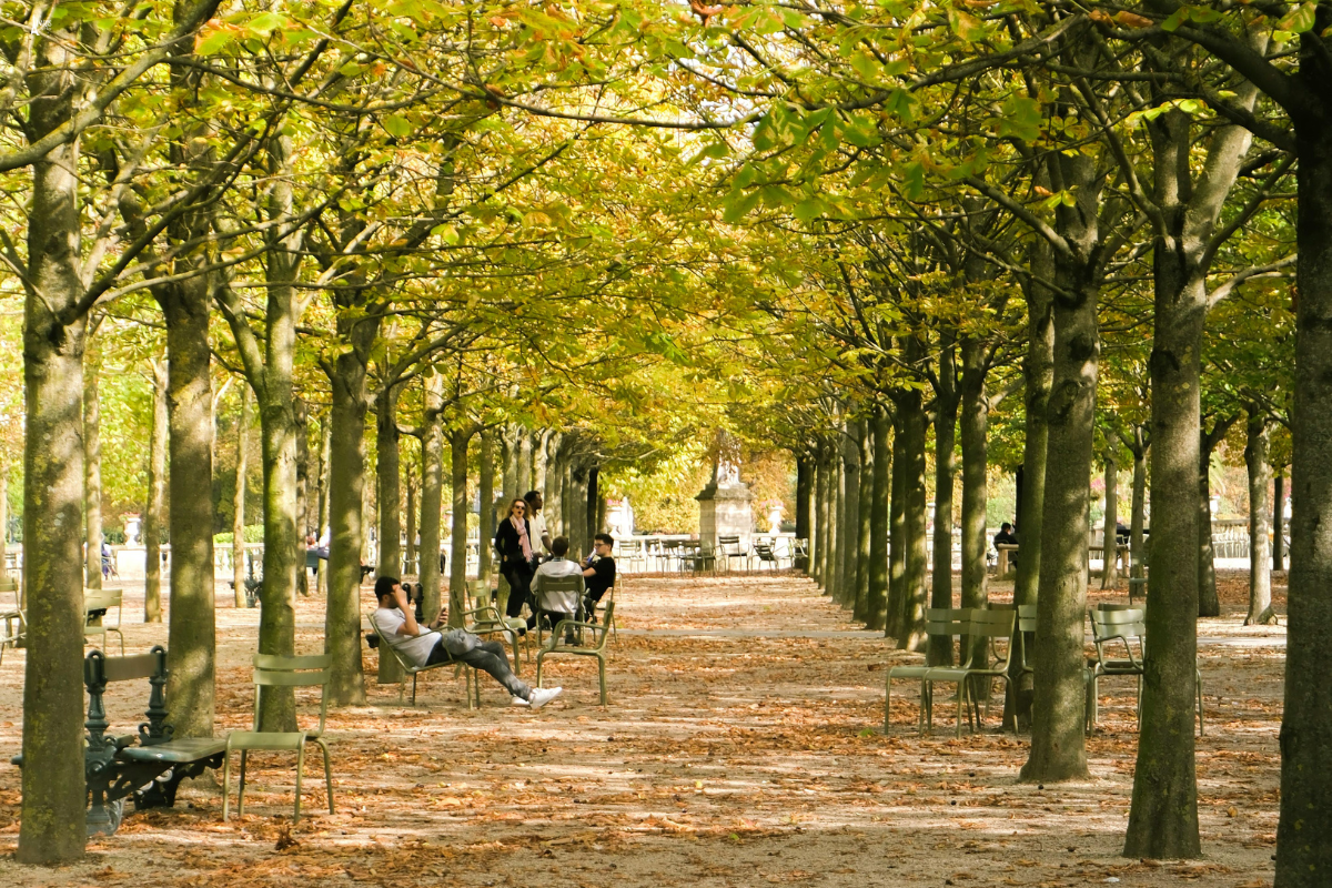 Paris in Autumn: Why Fall is the Best Time to Visit the City of Light