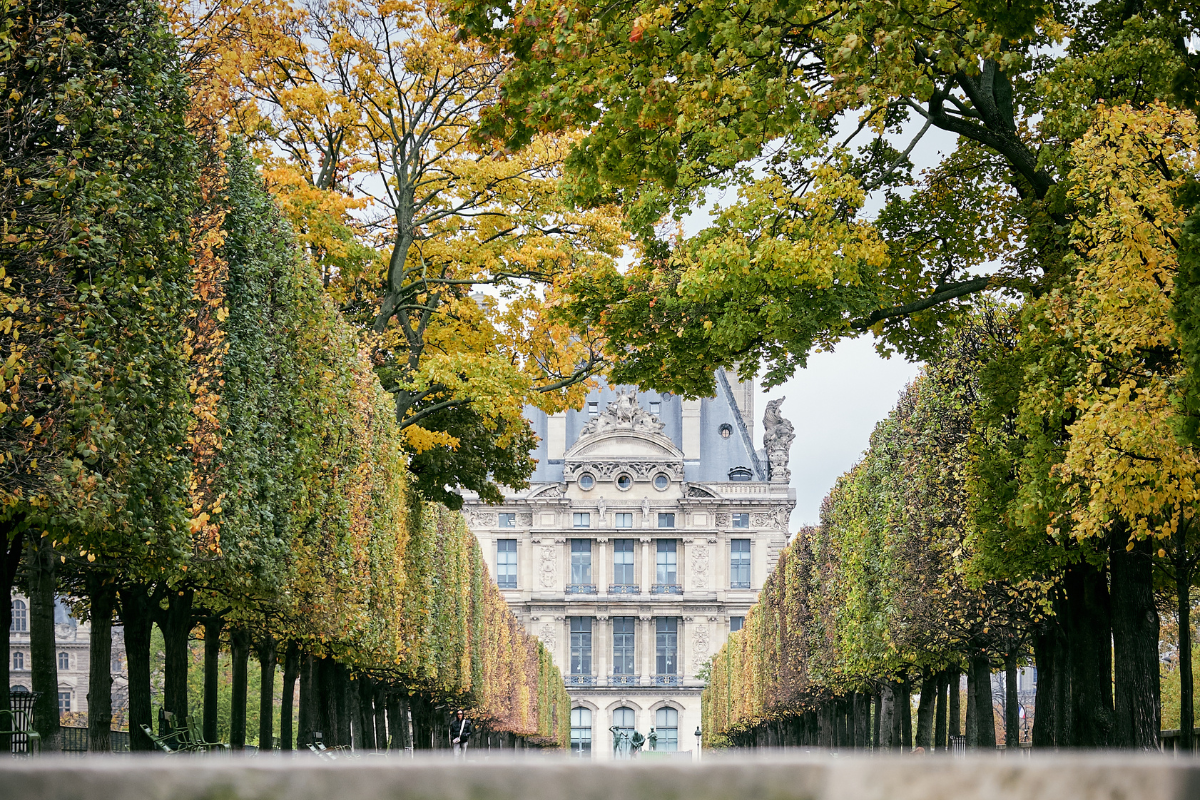 Paris in Autumn