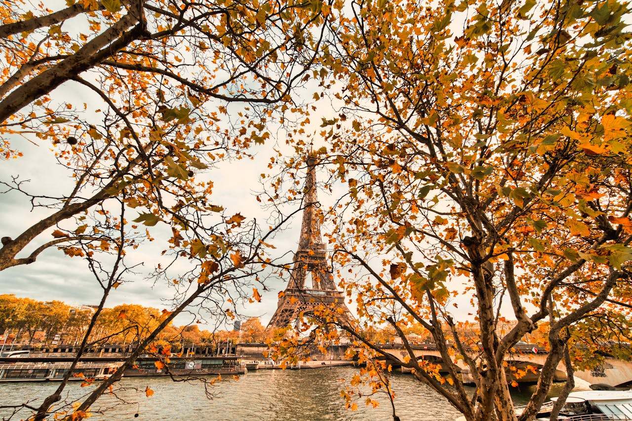 Paris in Autumn
